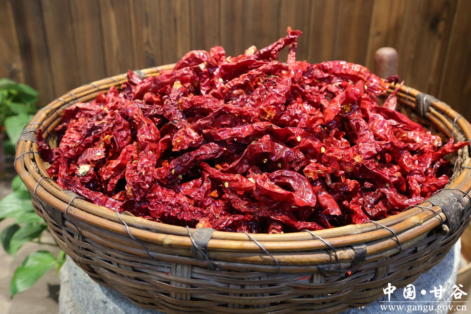 微信图片_20240318151502_副本