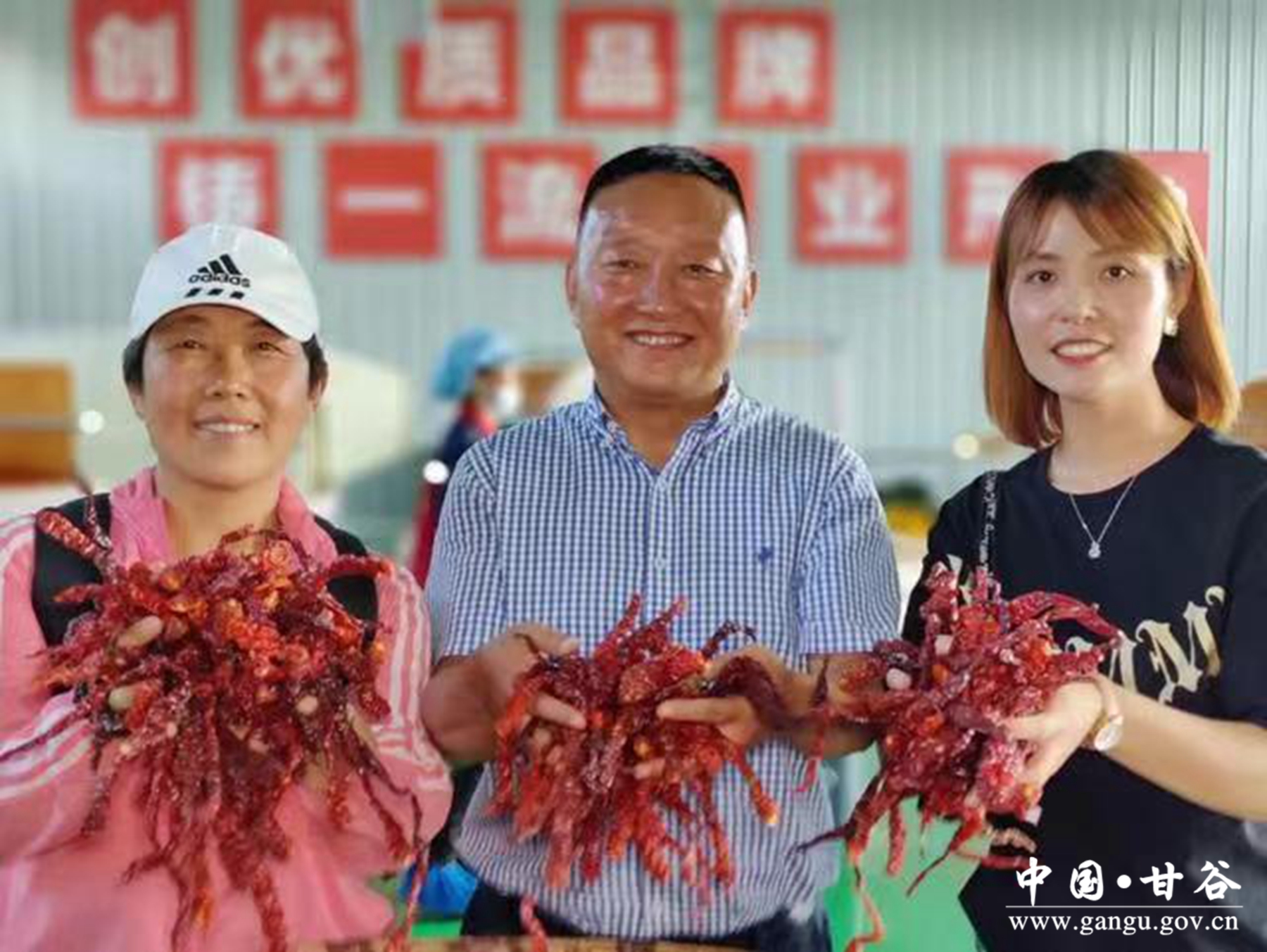 微信图片_20240326094752