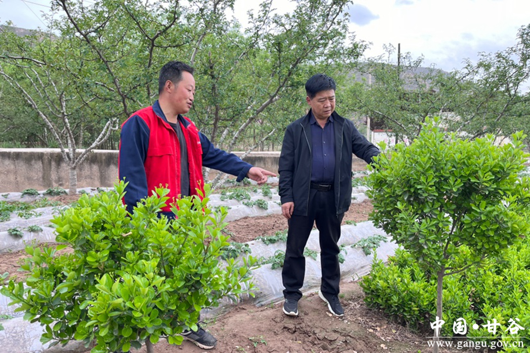 cc405f2b54c64a569e4298f6cdf49c0e