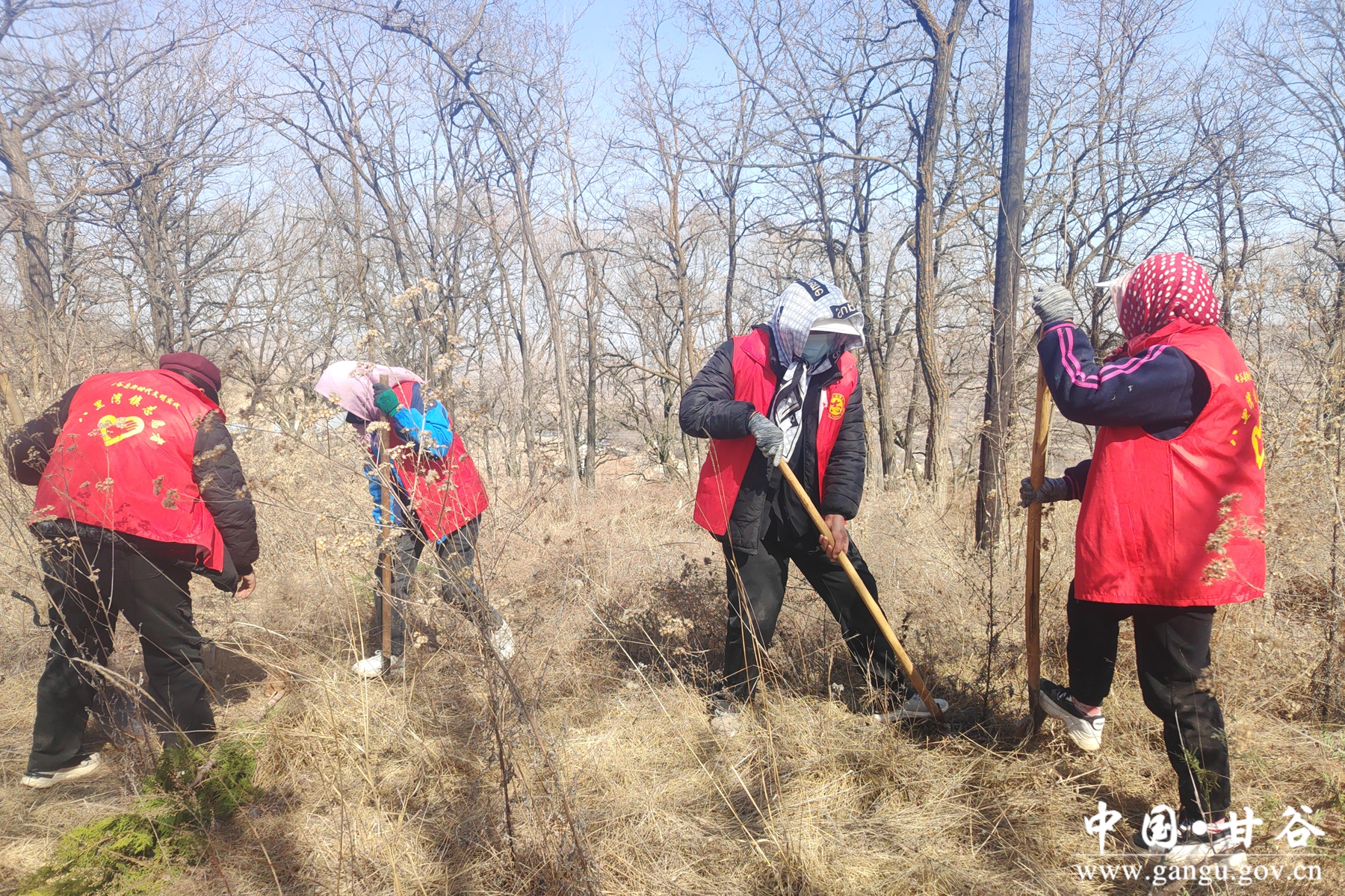 微信图片_20250314083854