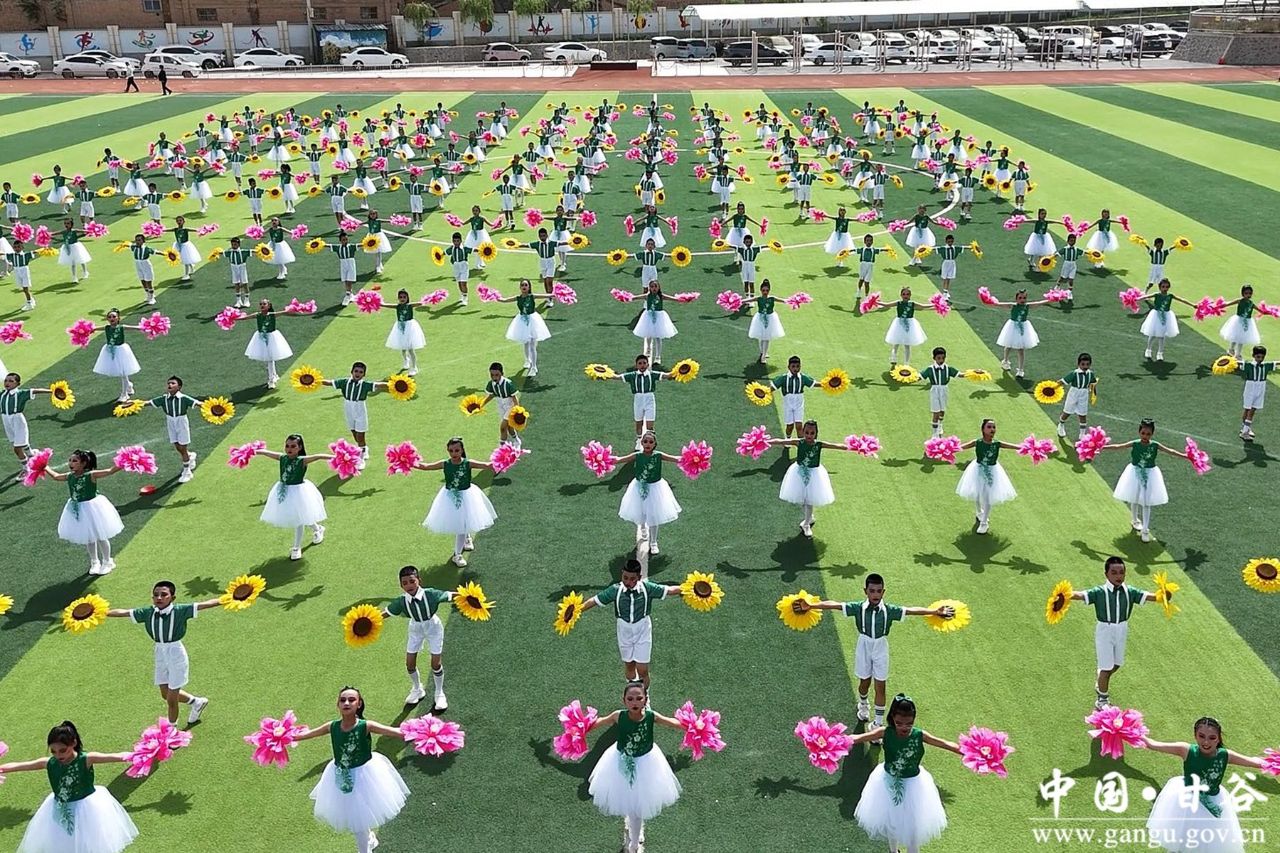 微信图片_20250429110134_副本