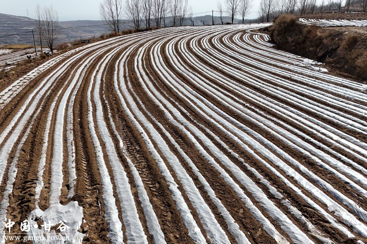 5664ff17651803f5c273d720835da4fc