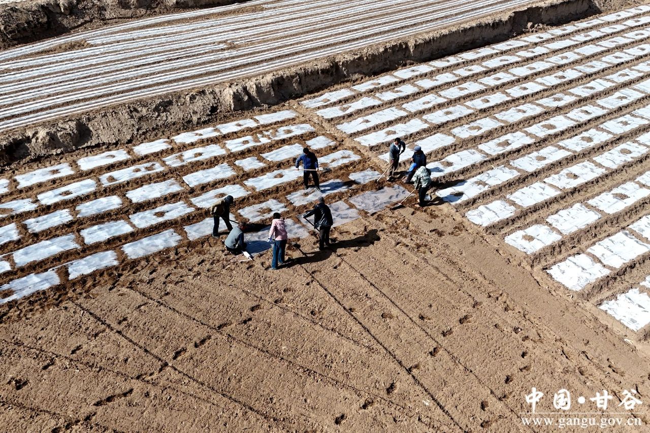 a19bf7cb00b843a0b94c8ee45c722fbc